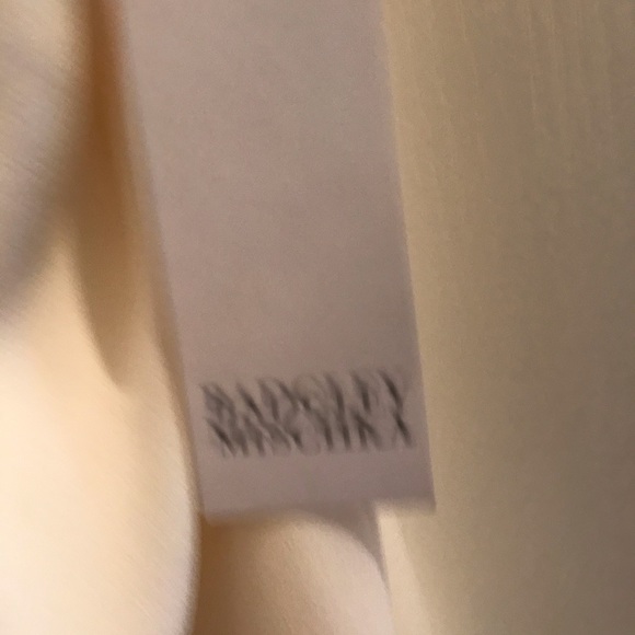 COPY - Badgley Mischka Cream colour dress. - Picture 3 of 5